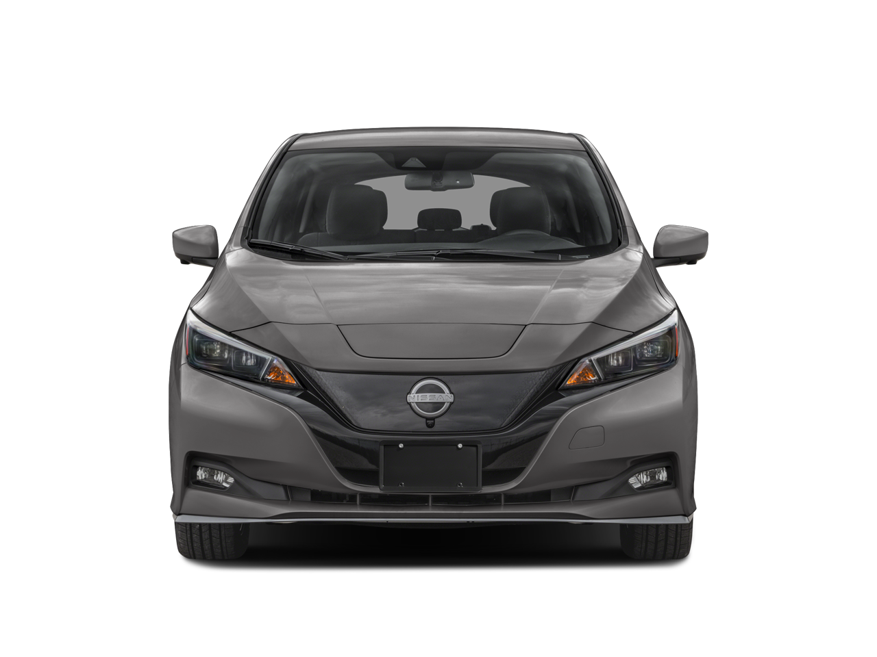 2025 Nissan LEAF SV PLUS